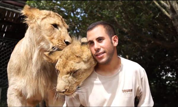 Lions cuddle trainer screenshot