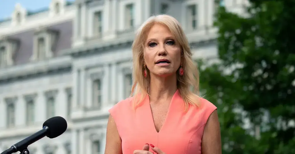 kellyanne conway faces backlash for absurd criticisms of democrats