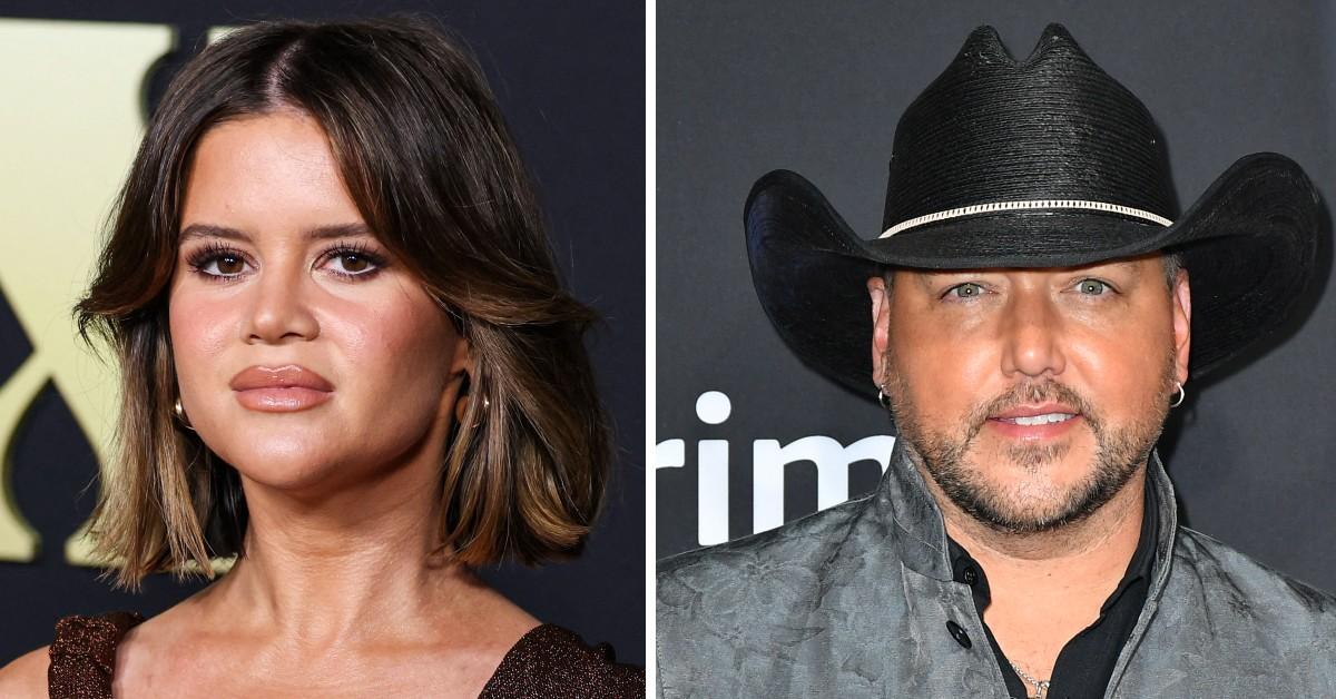 Jason Aldean's Wife Sparks Backlash After 'Gender' Caption