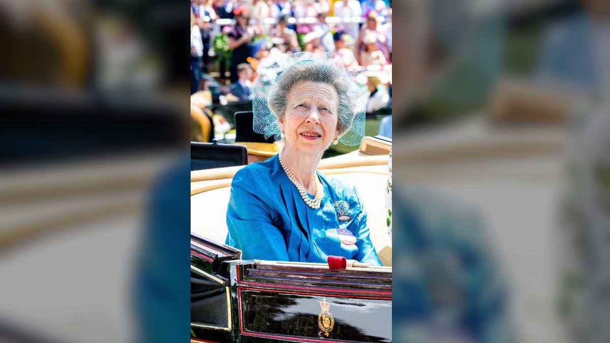 Image of Princess Anne pleaded guilty under the Dangerous Dogs Act.