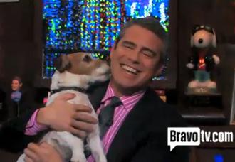 Uggie andy cohen jan24nec.jpg