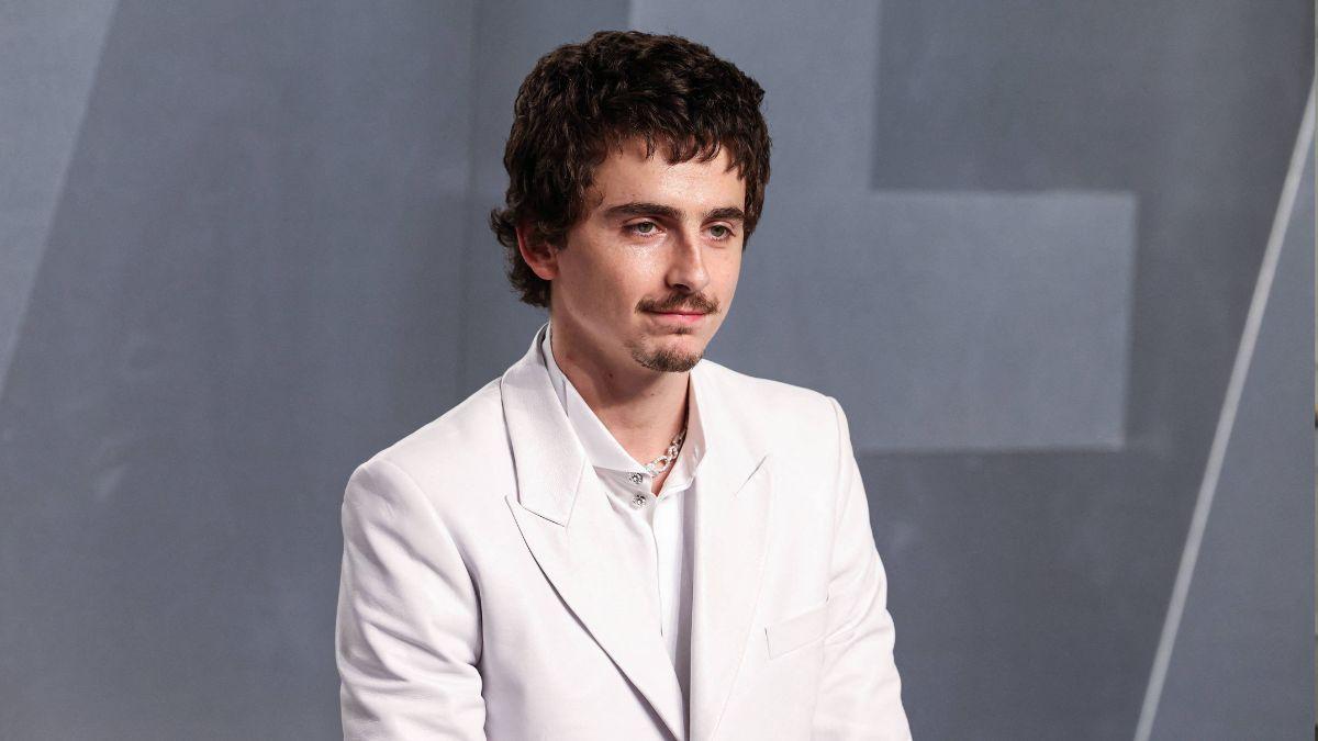 Photo of Timothée Chalamet.