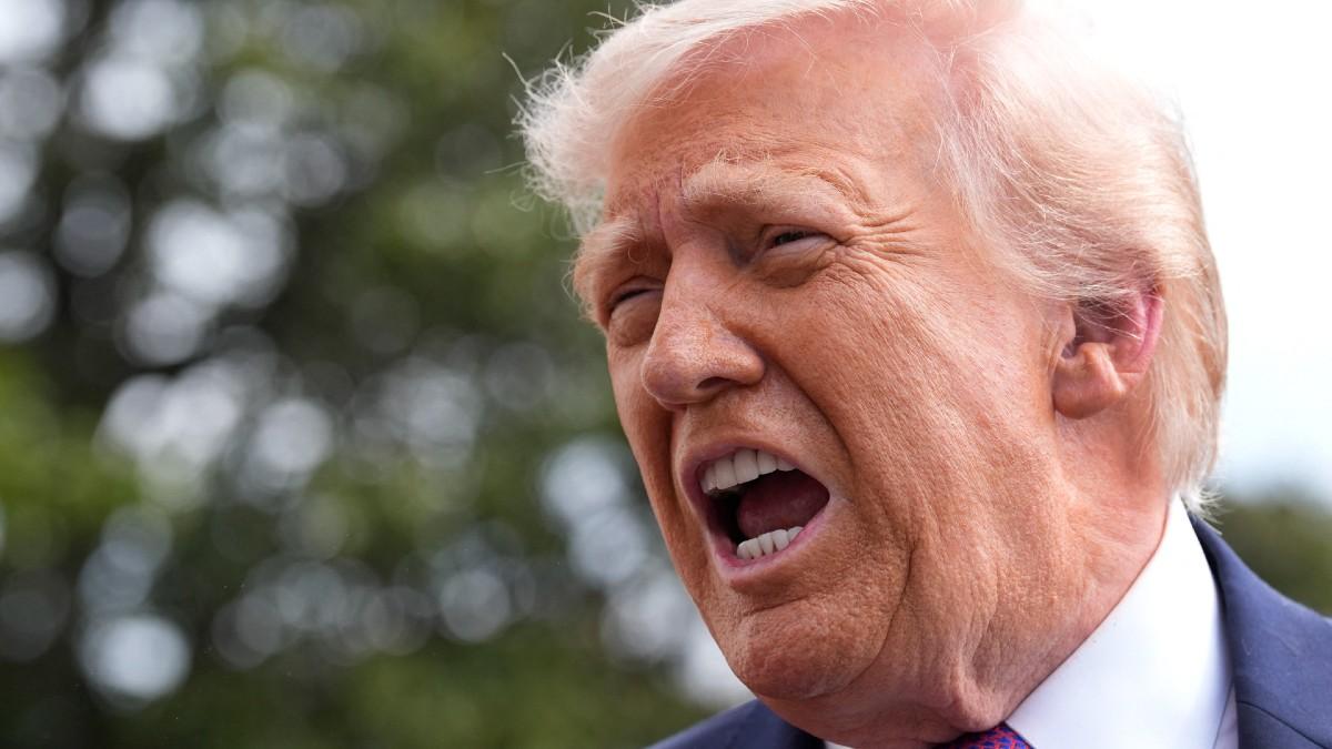 photo of Donald Trump. 