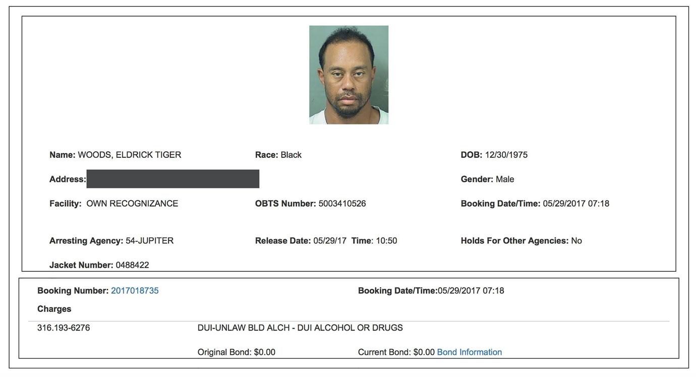 Tiger woods dui