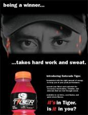 2009__12__tiger1b 173×225.jpg