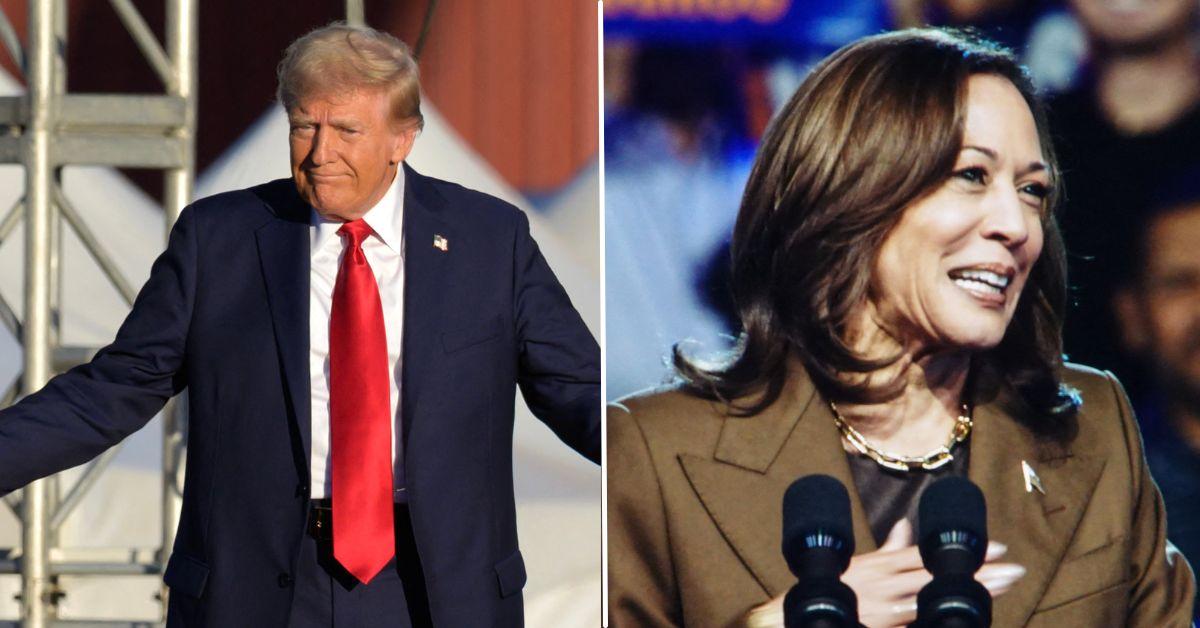 Donald Trump Lashes Out At VP Kamala Harris, Claims She Has A 'Low IQ'