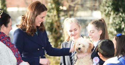 pregnant kate middleton petting puppy pics pp
