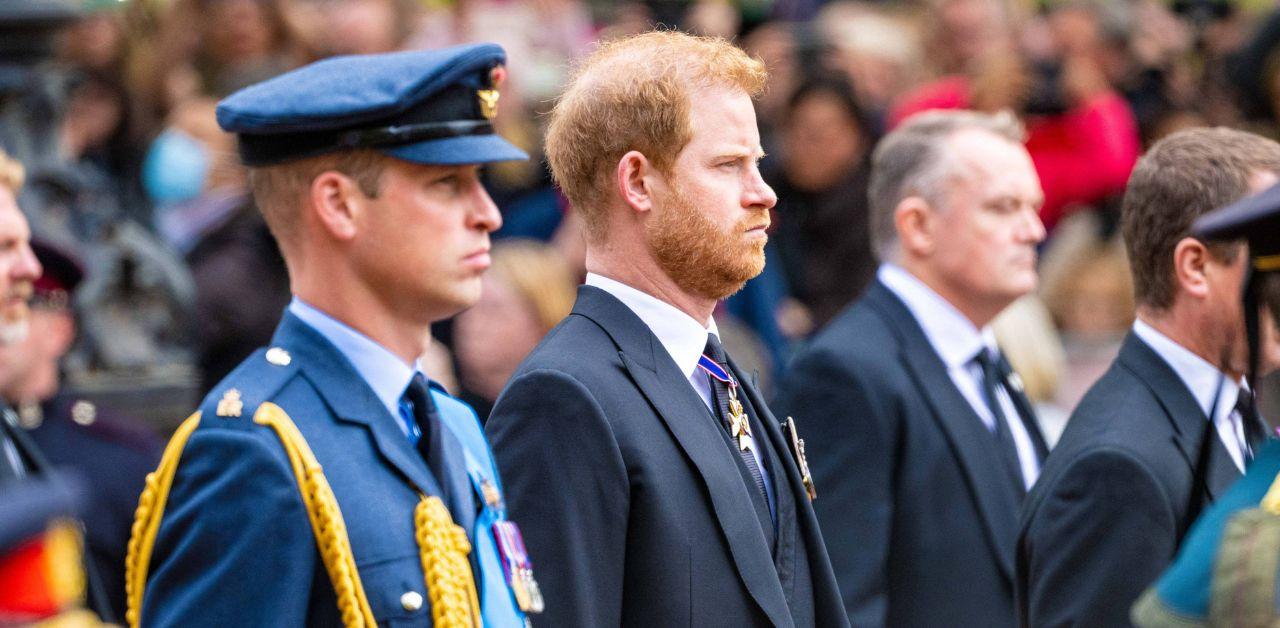 prince harry needs say sorry end yearslong feud prince william