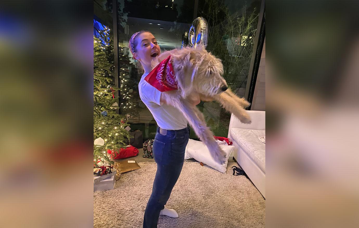 prime minister of australia barnaby joyce shades amber heard names her new dog