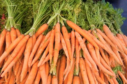 Bunches of carrots --- Image by © Cat Gwynn/Corbis