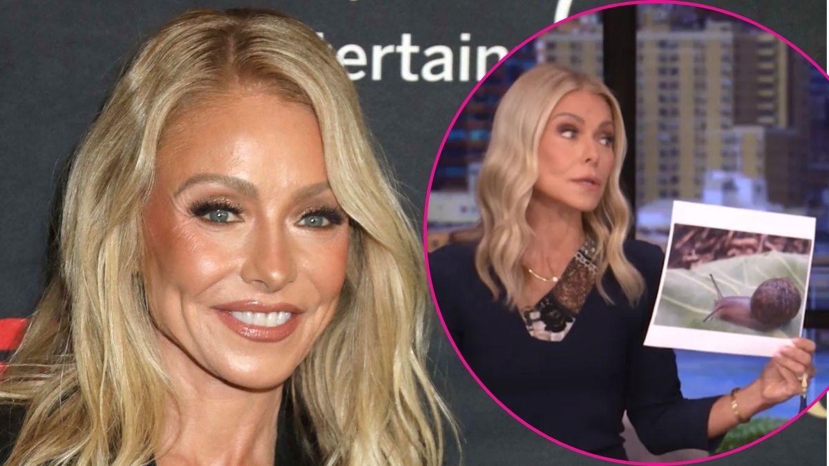 Composite photo of Kelly Ripa.