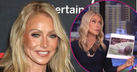 Composite photo of Kelly Ripa.