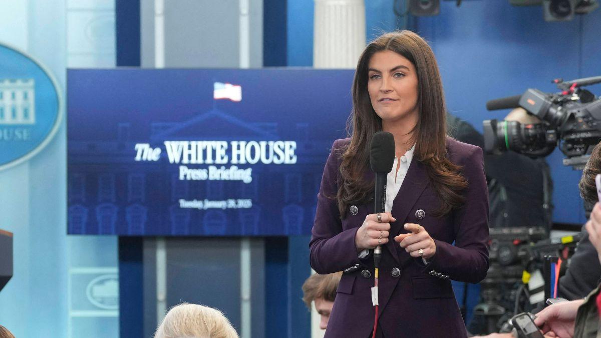 Image of She shifted attention back to her reporting.