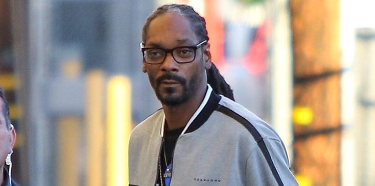 Watch Snoop Dogg explain the Stanley Cup for the NHL