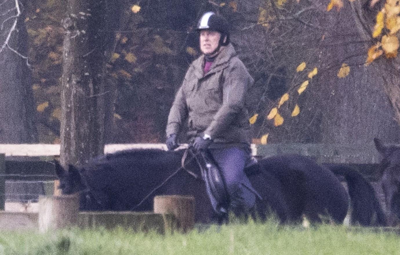 prince andrew riding horse news licensing