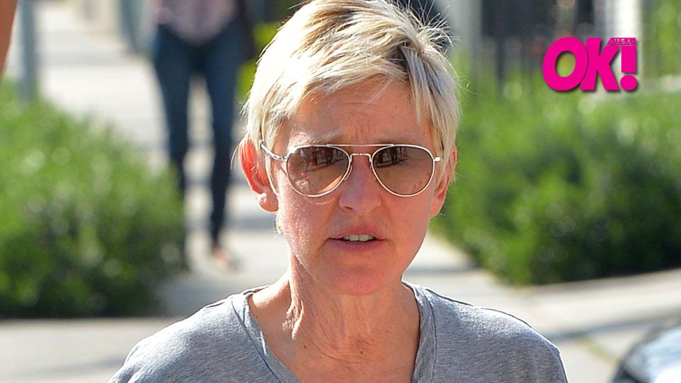 Ellen DeGeneres Partying Friends Concerned