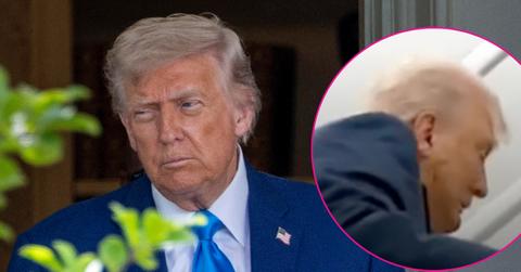 Photos of Donald Trump.