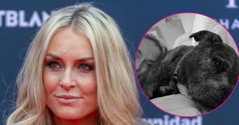 split photo of Lindsey Vonn & her dog Leo