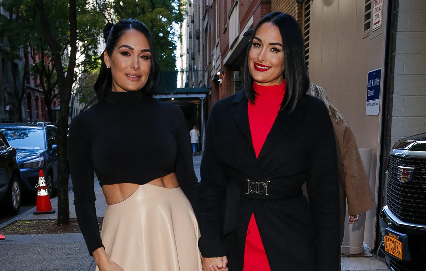 Nikki & Brie Garcia Face Backlash After Allegations Against Stepdad