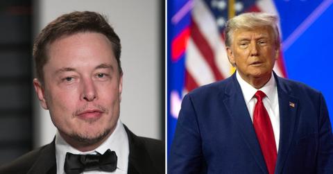 elon musk thinks con man donald trump nuts buffoonery