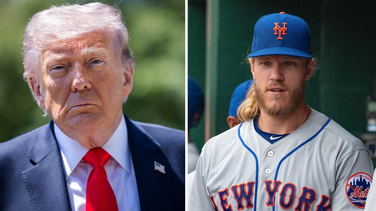 split of Donald Trump, Noah Syndergaard. 