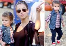 2009__10__albapumpkinmain 225×157.jpg