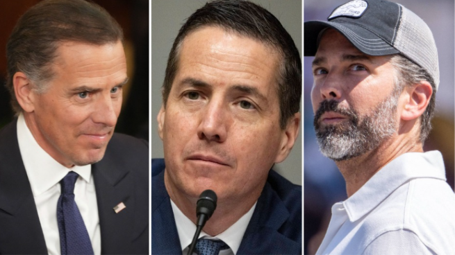 Composite photo of Hunter Biden, Bernie Moreno and Donald Trump Jr.