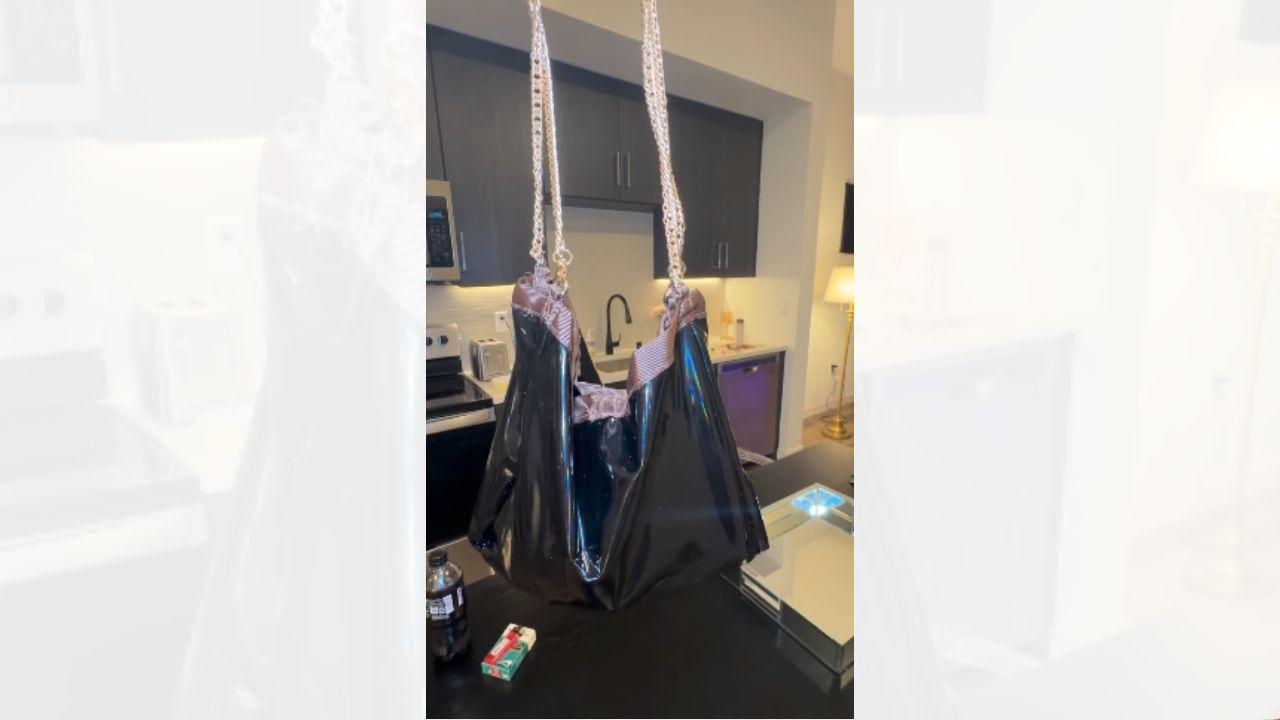 Image of Amanda Bynes showed of the 'prince$$ bag' and the 'goth bagg.'