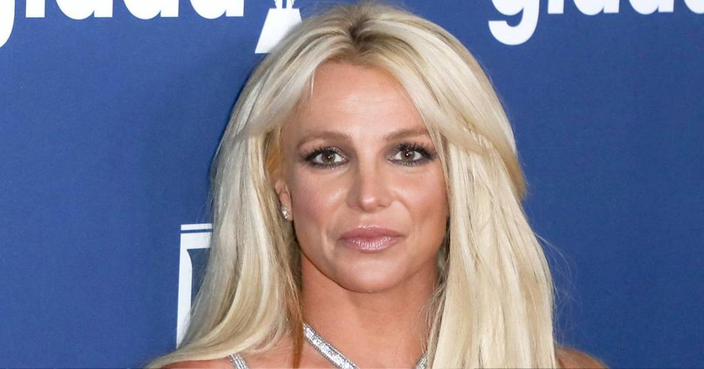 Britney Spears Is A 'Survivor' While Showing Off Push Up Bra