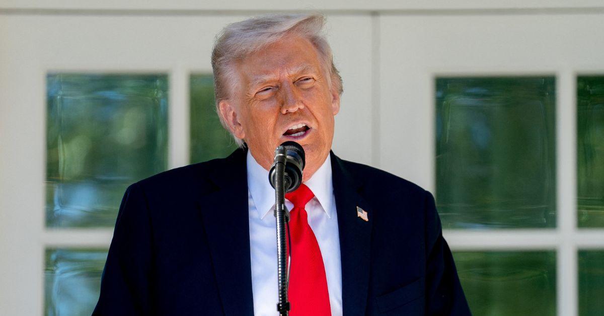 photo of donald trump 