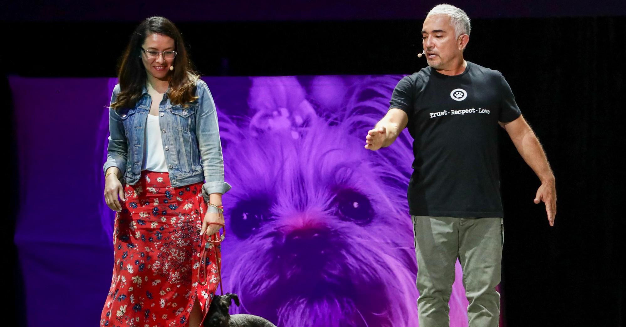 cesarmillan