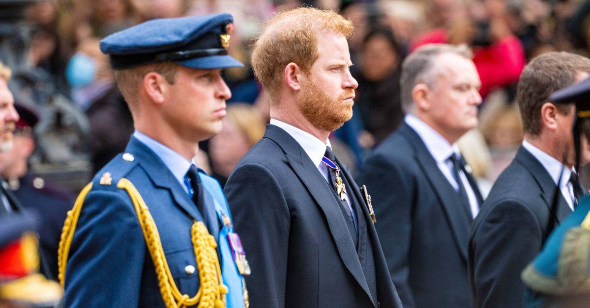 Photo of Prince William and Prince Harry.