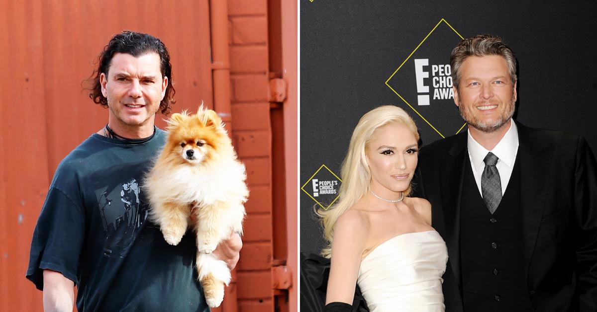 gavin rossdale walks his dog in the park blake shelton gushes holiday plans with gwen stefani ok