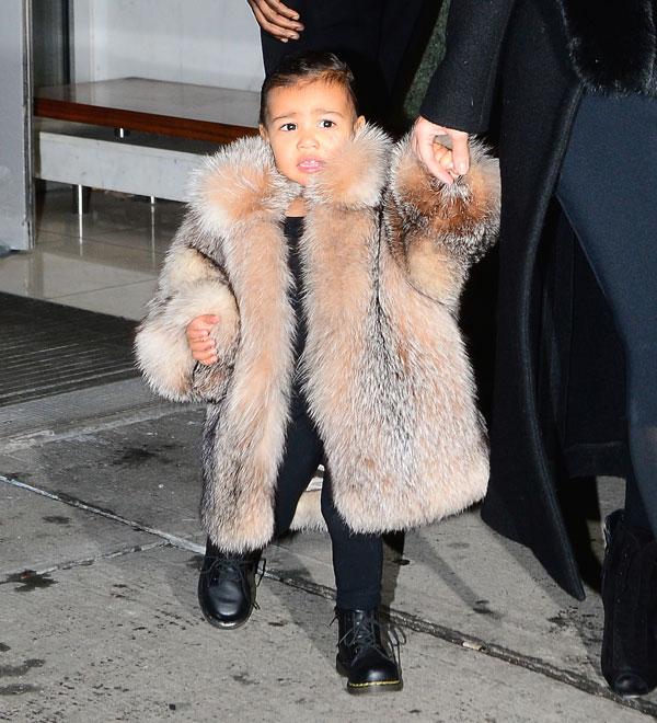 North west cooler 11