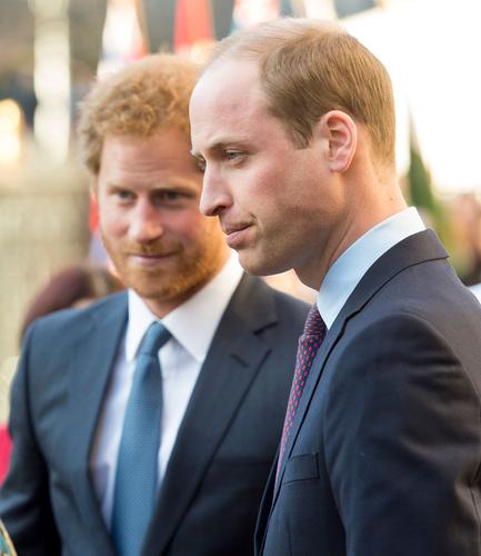 Brotherly Love Prince William Backs Prince Harrys Relationship With Meghan Markle 