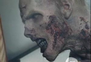 Walkin dead season2 oct17bt 01.jpg