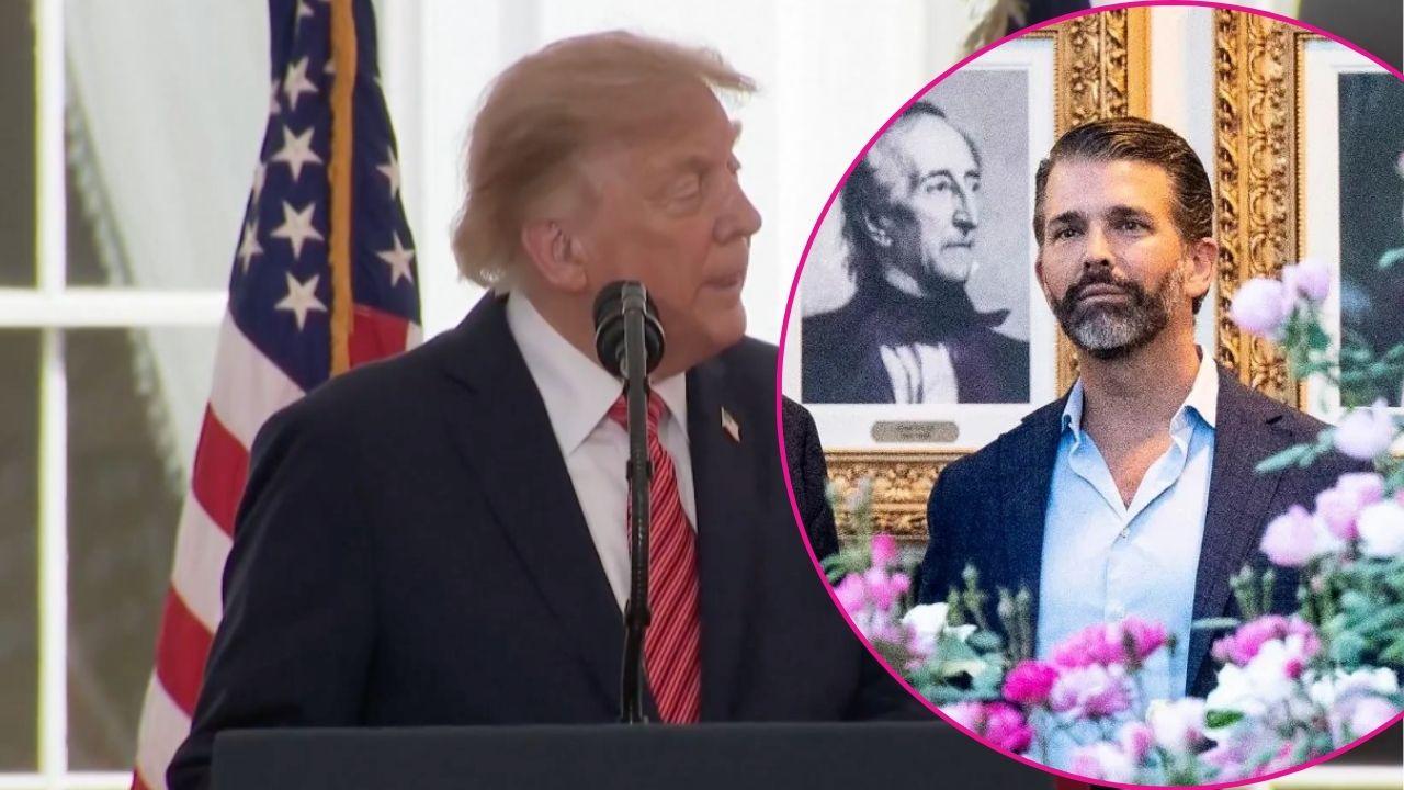 image of Donald Trump Jr and Donald Trump 