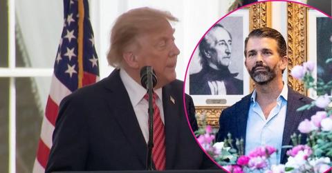 image of Donald Trump Jr and Donald Trump