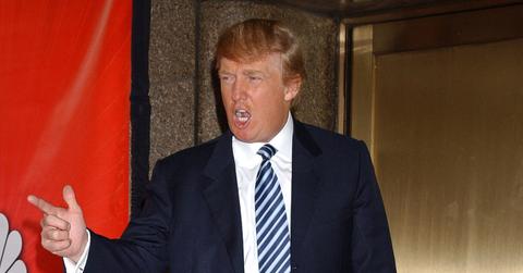 donald trump home alone