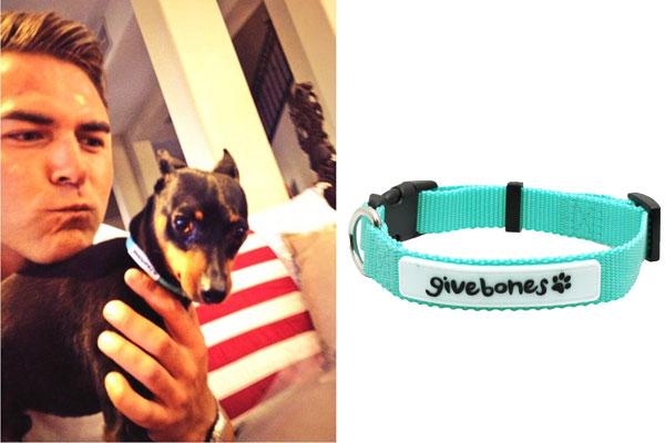 ok_071713_news_givebones-dog-collar