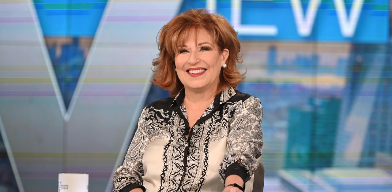 insulting remarks joy behar