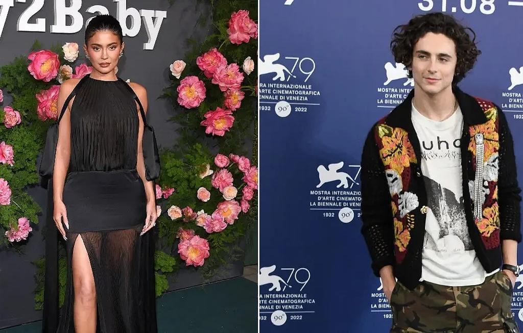 Timothee Chalamet Is 'Great' With Kylie Jenner's 2 Kids