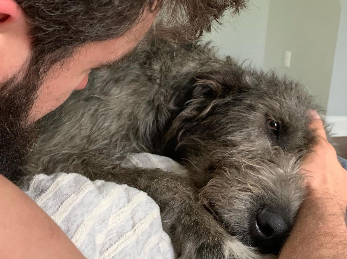 Travis Kelce & Ex Kayla Nicole Both Comment On Kylie Kelce's Dog Dying