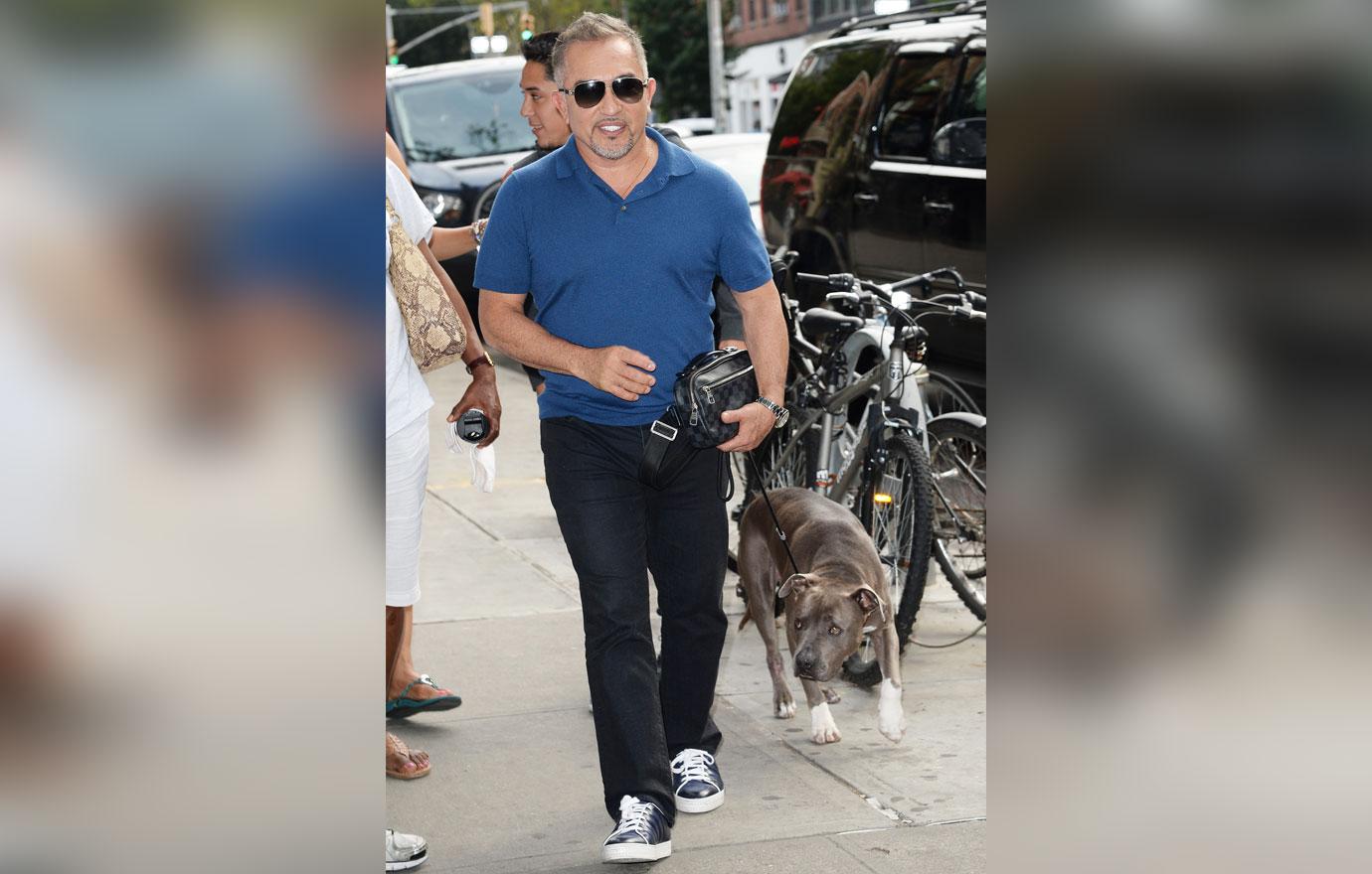 cesar millan pit bull mauled queen latifah dog to death