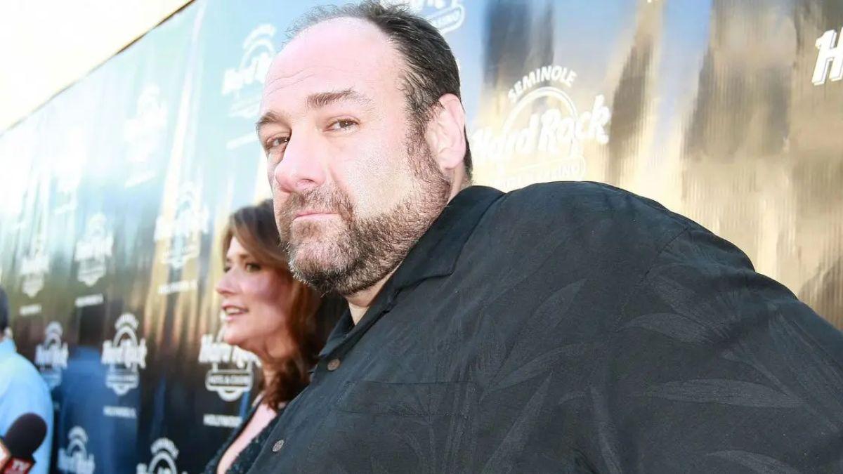image of James Gandolfini's life was cut short when he suffered a fatal heart attack in Rome in 2013.