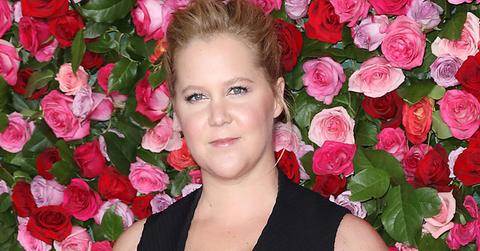 Amy Schumer Cope Son Autism