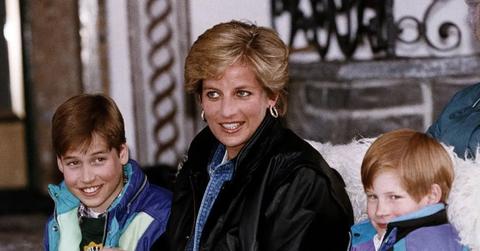 Photo of Princess Diana, Prince William and Prince Harry