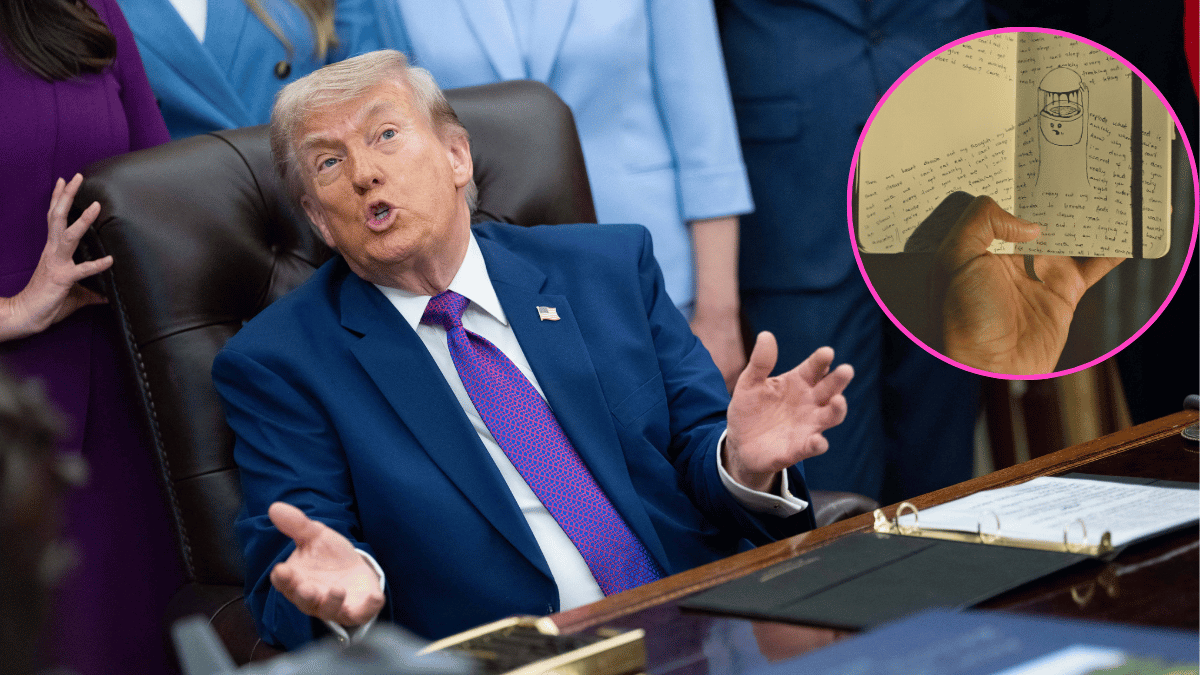 pic of Donald Trump. 