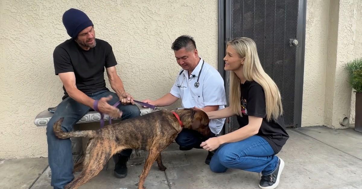 image of Joanna Krupa is all about helping others — especially pets!