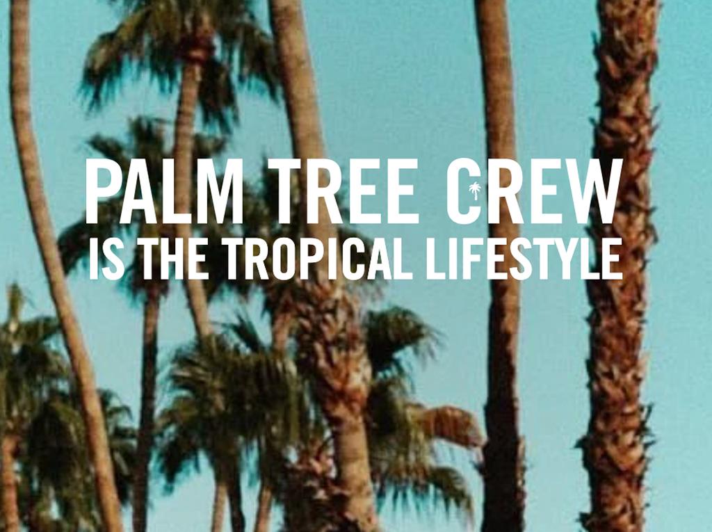 'Palm Tree Music Festival - The Hamptons' By Kygo — 8/29